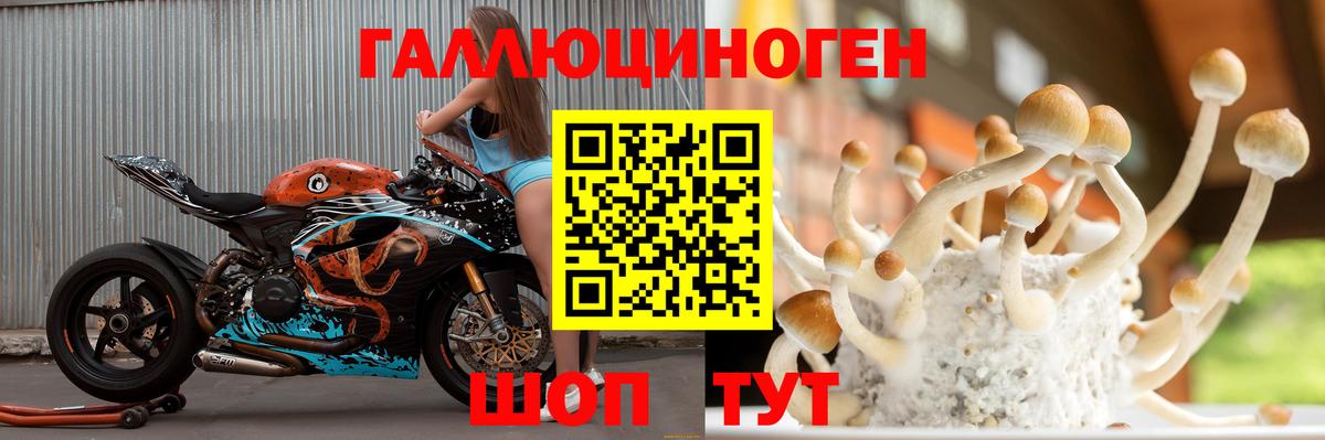 Галлюциногенные грибы GOLDEN TEACHER  Вход с VPN  магазин продажи   Белебей 