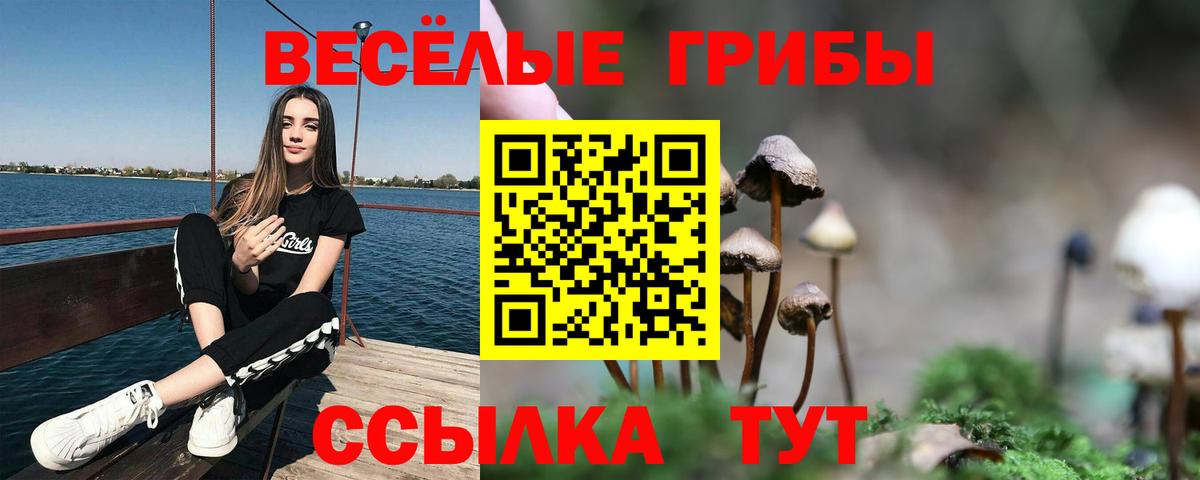 Псилоцибиновые грибы мухоморы Белебей